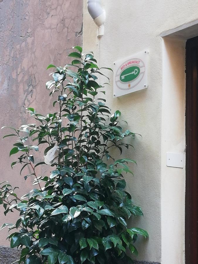 B&B Sotto Le Torri Αλμπένγκα Εξωτερικό φωτογραφία